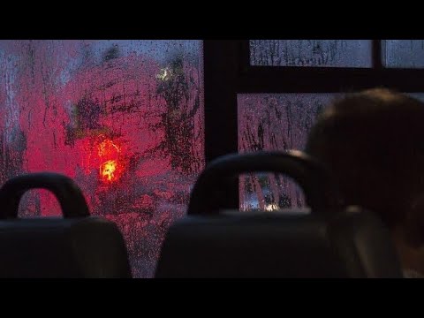 Ree x Tuwshu - Swan (official audio)