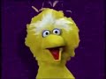 Sesame Workshop Toodle Loo 2002 M E Variant