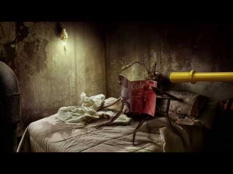 Kintar & Kasall - Ants (Original Mix)