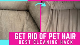 Remove Dog or Cat Hair from Couch or Pet Bed Fast and Easy|| Genius Cleaning Hack 🛋 🦮 🐕‍🦺  ✨✨
