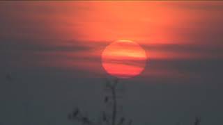 HÍREK A TERMÉSZETBŐL