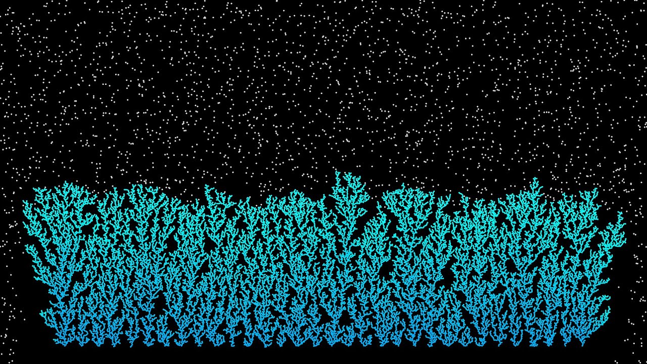 拡散律速凝集(DLA) : 重力を付加 2