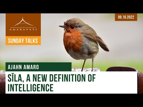 Sīla, a New Definition of Intelligence | Ajahn Amaro | 09.10.2022