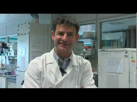 Laboratorio di ricerca di Genetica Medica