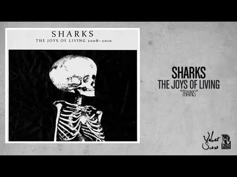 Sharks - Train