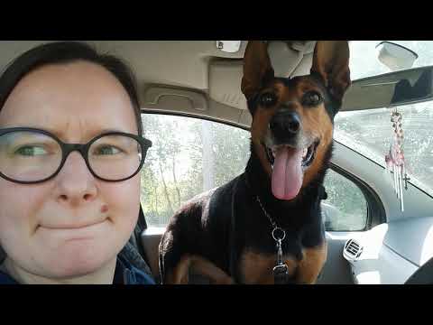 PORTO Sasha (il mio cane) A fare una PASSEGGIATA