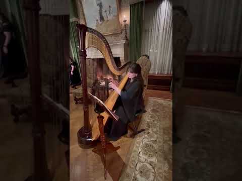 Promotional video thumbnail 2 for Mitten Harpist