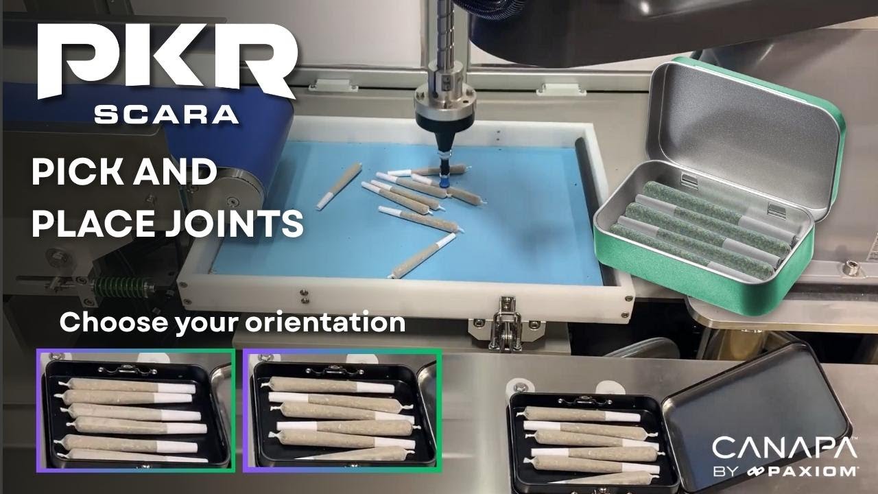 PKR SCARA Robot to pick and place pre rolls into trays and tubes