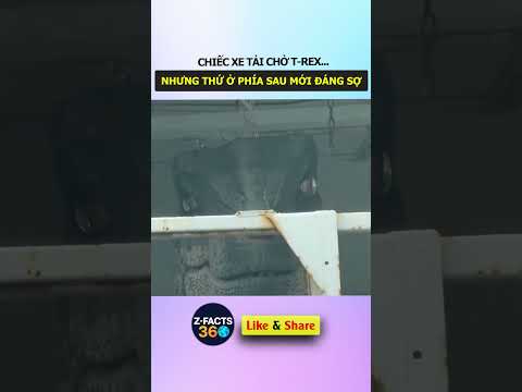 Chiếc xe tải chở T-rex... nhưng thứ ở phía sau mới thật sự đáng sợ #shorts