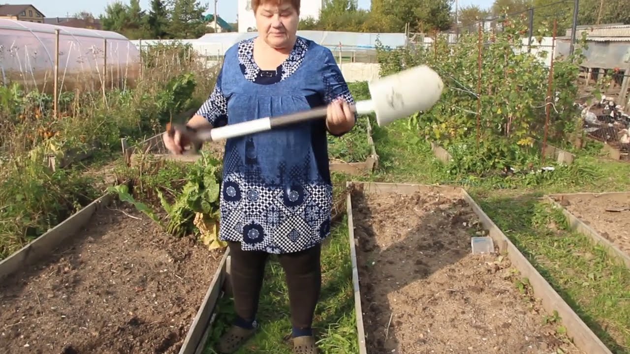 Не упустите время! Это важно сделать, чтобы подготовить огород к зиме и к новому урожаю.