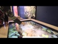 Syncrude Environment Gallery
