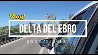 VLOG! UNOS DÍAS CONMIGO POR EL DELTA DEL EBRO❤