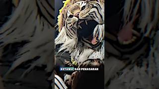 Download lagu Tiger Barongan leaves the audience stunned‼️😍 #barongan #jathilan #jaranan mp3