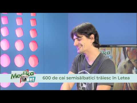 16 11 2018 MEDIKA VET - Drama cailor din pădurea Letea