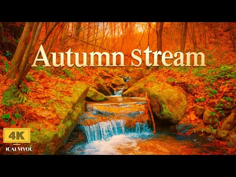 Muzykoterapia 🍁 Jesienne melodie łagodzące stres i wspomagające leczenie