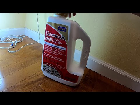 Stopping Ants from Entering Your Home with Diatomaceous Earth