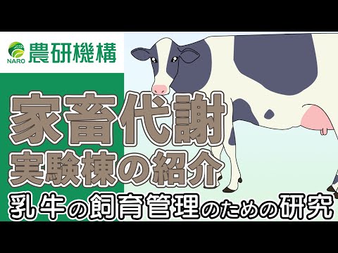 , title : '乳牛の適切な飼養管理のために　～家畜代謝実験棟～'