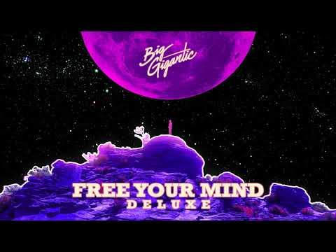 Big Gigantic - 'Free Your Mind (Feat. Jennifer Hartswick)' (Official Audio)