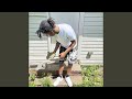 TRAP JUMPING