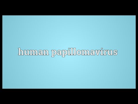 Papillomavirus umano in italiano