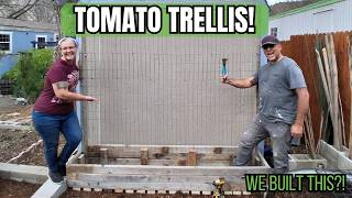 DIY Tomato Planter with Trellis 🍅 Build This Easy Raised Bed!