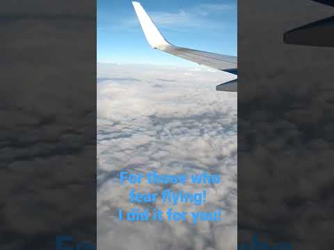 for those who fear flying... I did it for you! #americanairlines #highupgirls #love #fly #clouds #hi