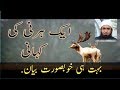 When The Deer Talking To Prophet Muhammad ﷺ Maulana Tariq Jameel Bayan 2018