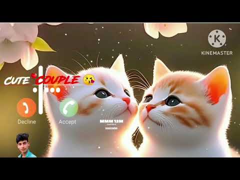 Cute Cat Baby message || ringtone SMS tune notification tone new 2025