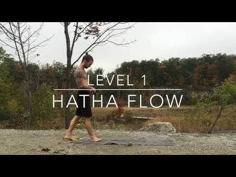 Level 1 - Quick-Paced Hatha Flow: Free Yoga Classes with Daniel Rama