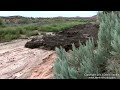 Debris Flow (Cyklobuzna) - Známka: 1, váha: malá