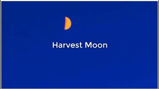 Harvest Moon - Poolside (Lyrics) English//Español