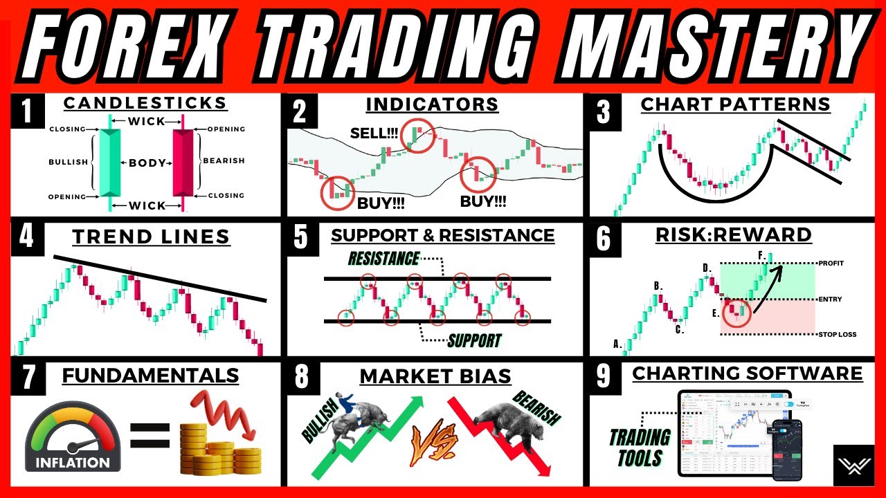 ULTIMATE Forex Trading Beginners Course (This Is All You Need)