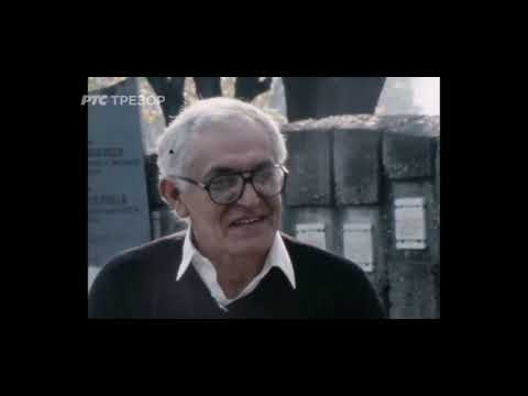 Učesnik i svedok - Ljuba Tadić (TV Beograd, 1989.)