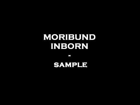 Paragoria (ex The Scourge) - Moribund inborn (sample)
