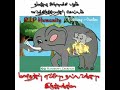 Pregnent Elephant Death Save Animals Whatsapp Status Tamil