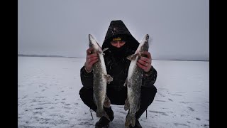 Ловля щуки на живца в водохранилищах