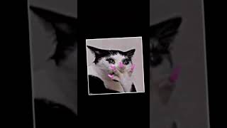 Download lagu cewek pakek tengtop😝 mp3