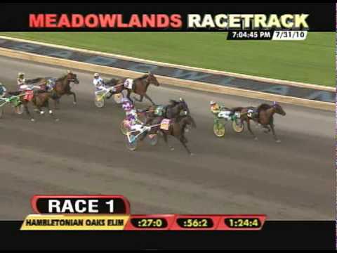 2010 Hambletonian Oaks Elimination - Poof She's Gone & Dave Miller