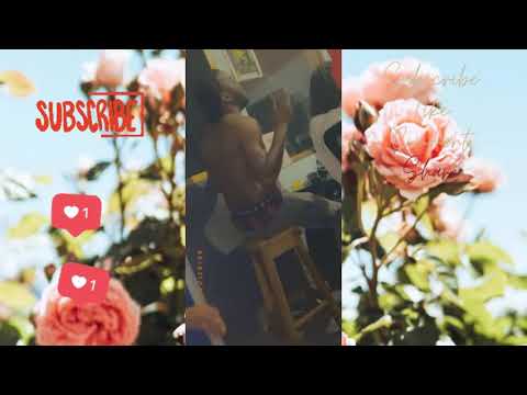 SHANE-E  LIVE IN THE PUT INN THE HARD WORK AS USUAL