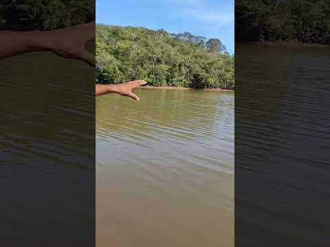 açude grande em sucupira do Riachão Maranhão Brasil 🇧🇷