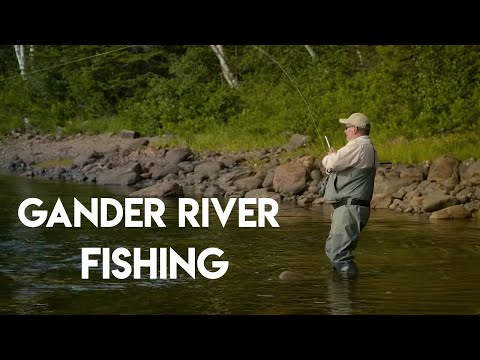 Gander River Fishing | Bear Cliff Lodge