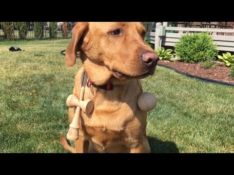 Zach Magnuson // Trying Something New - Atlantic Kendamas