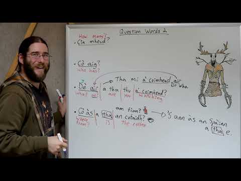 Using Question Words 2 - Complex Gaelic Questions