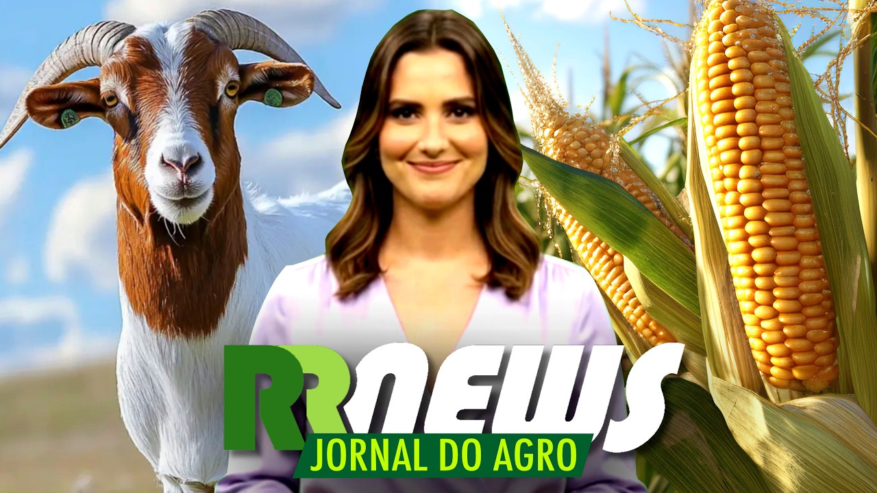 RRNEWS - O Jornal do Agro - 29/08/2026