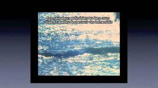 TEDxBasqueCountry - Taki Bibelas - The Still Point