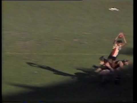Rd 11 1987 - StKilda v Essendon highlights. VFL Football