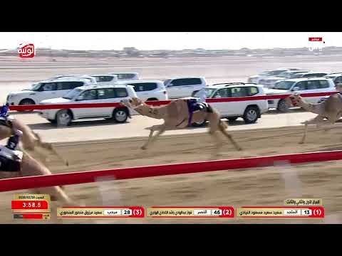 ش 2 (الدرع) لـ محمد سيف دغاش العامري 5:47:47 ، مهرجان ختامي الوثبة 2026/02/28 حقايق