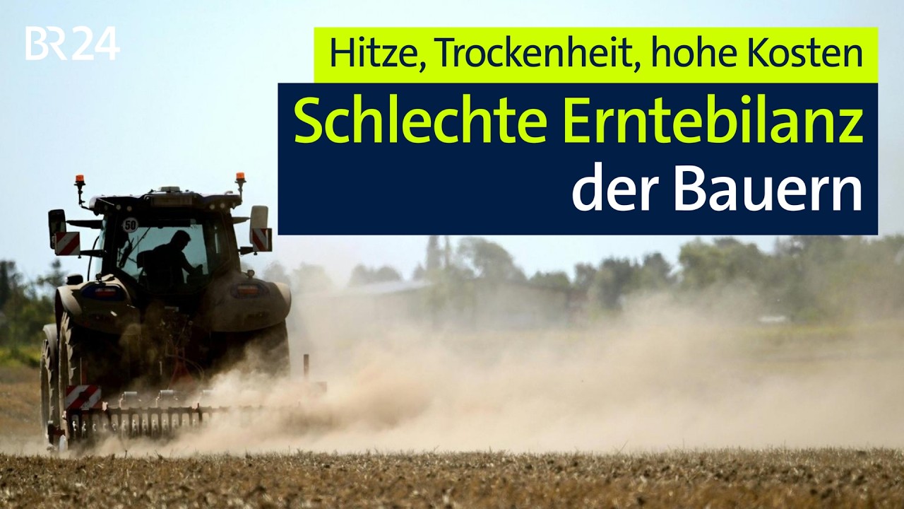 Hitze, Trockenheit, hohe Kosten: Schlechte Erntebilanz der Bauern | BR24