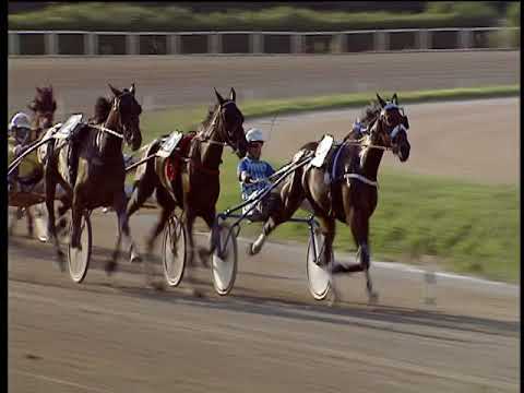 Trotto 09/09/2018 - 8ª corsa