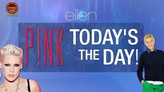 MG Lyrics Videos - P!nk - Today’s The Day